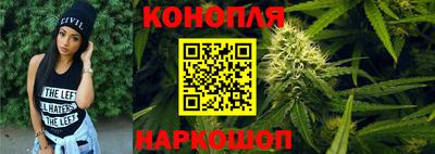 гашик Славгород