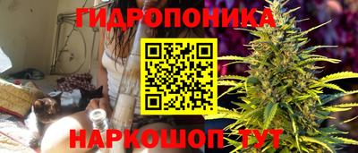 гашик Славгород