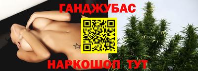 гашик Славгород