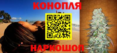 гашик Славгород