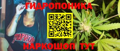 гашик Славгород